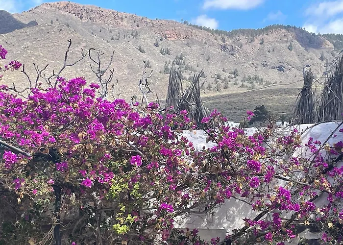 Tierrazul Art Boutique Caramel Diamond 阿德耶