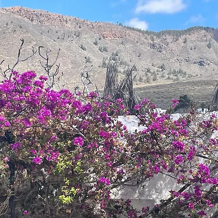 Tierrazul Art Boutique Caramel Diamond Costa Adeje (Tenerife)